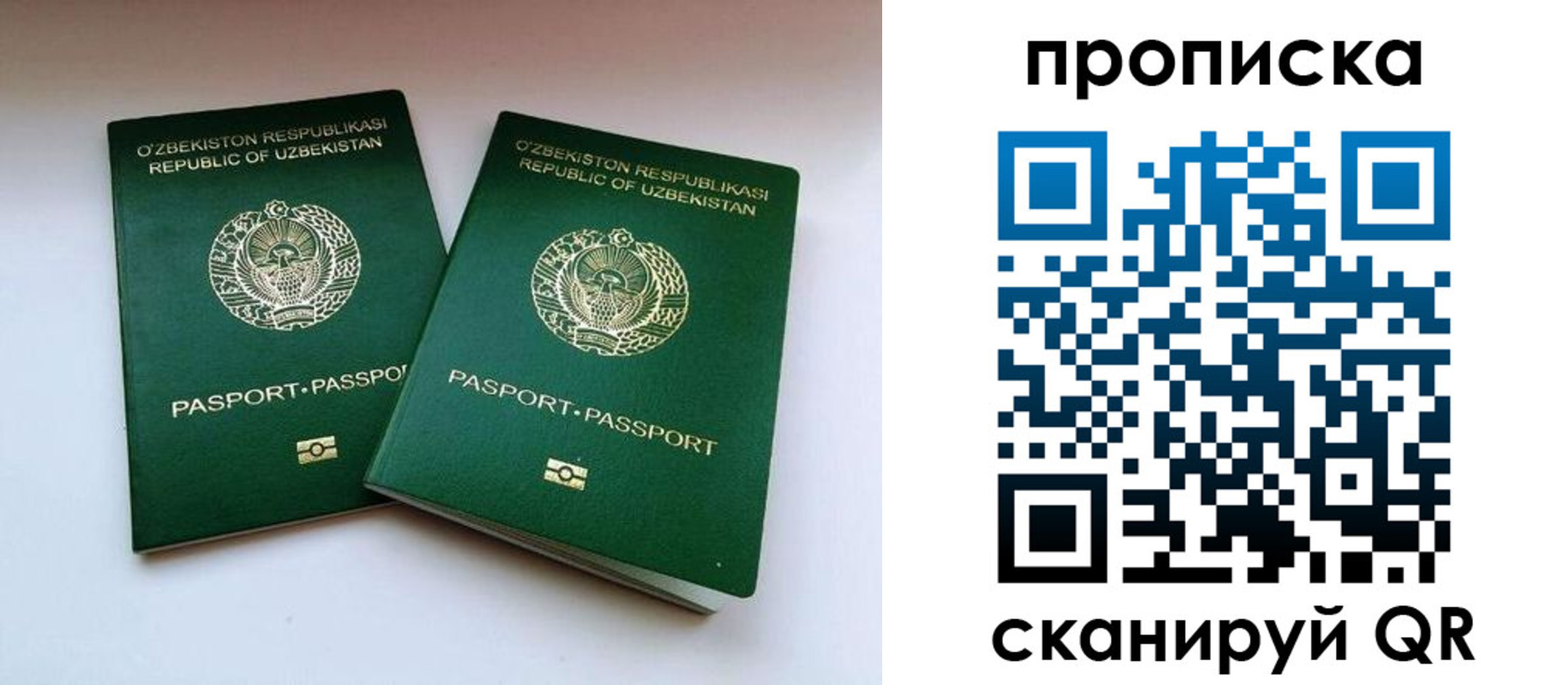 прописка поиск в Славгороде